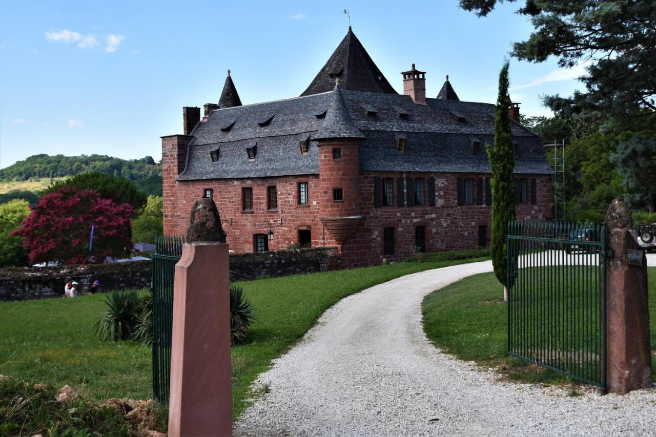 Maison Avec Patio Dans Le Centre Historique Villa Terrasson-Lavilledieu Exterior photo